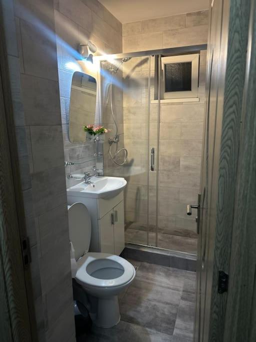 Apartament La Flo Hunedoara Exteriör bild