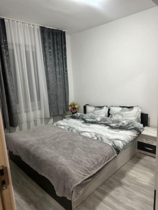 Apartament La Flo Hunedoara Exteriör bild